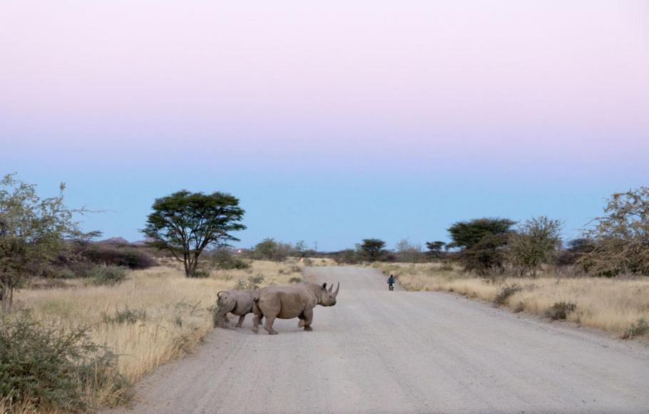 Camp Mara Hotel Omaruru Eksteriør billede