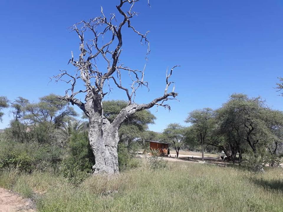 Camp Mara Hotel Omaruru Eksteriør billede